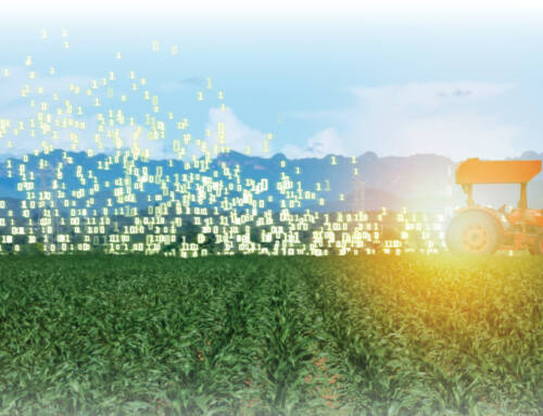 Harvest Now, Decrypt Later: What Your Clients’ Data Is Worth in 2030
