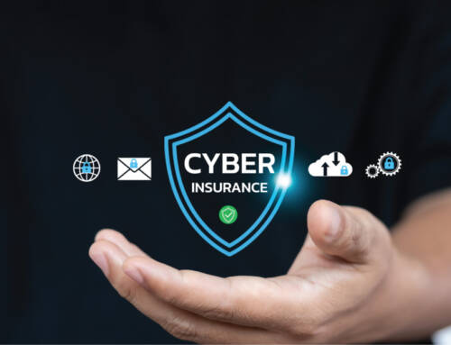 The Cyber Insurer Landscape